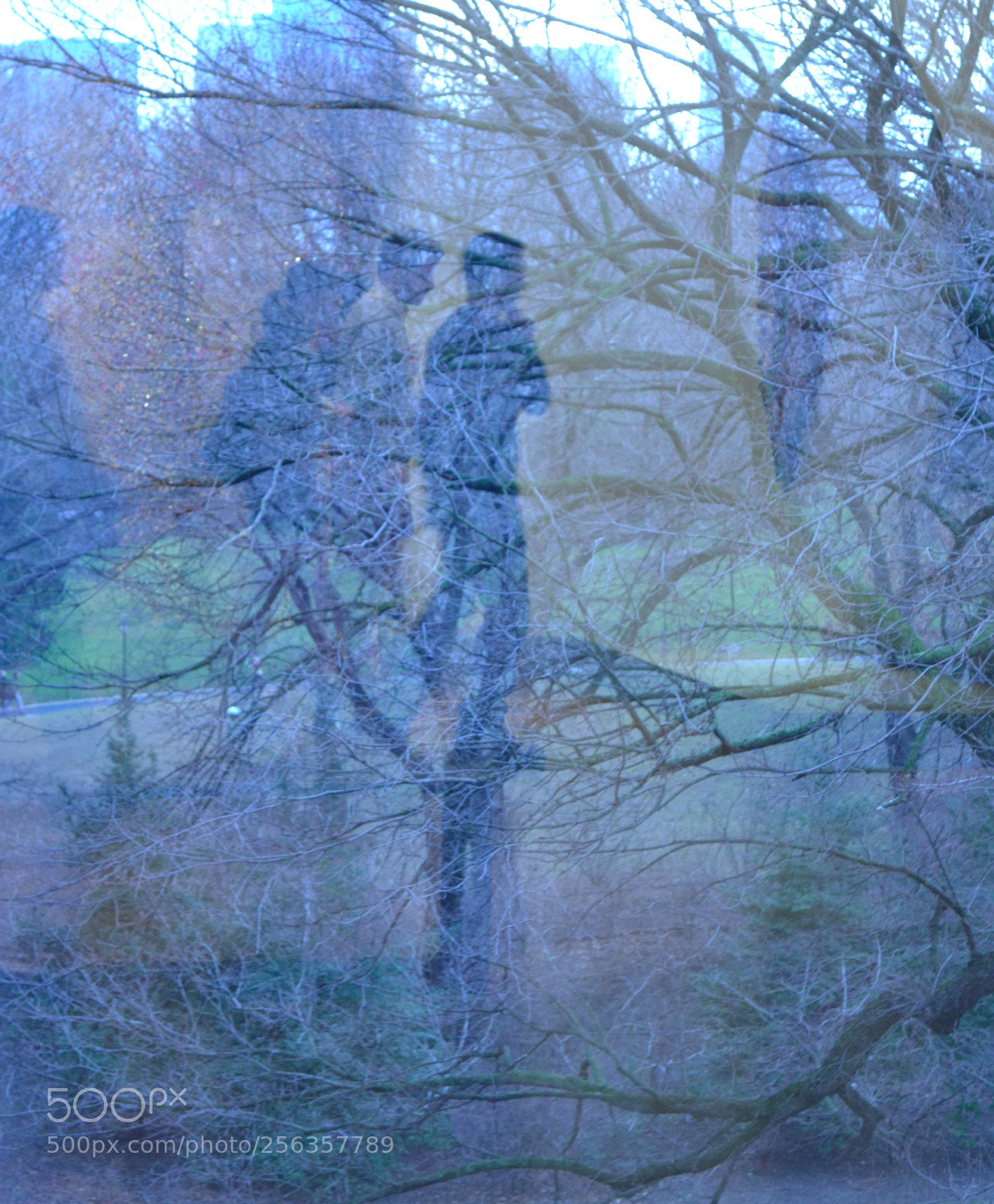 Nikon D3100 sample photo. Window photography