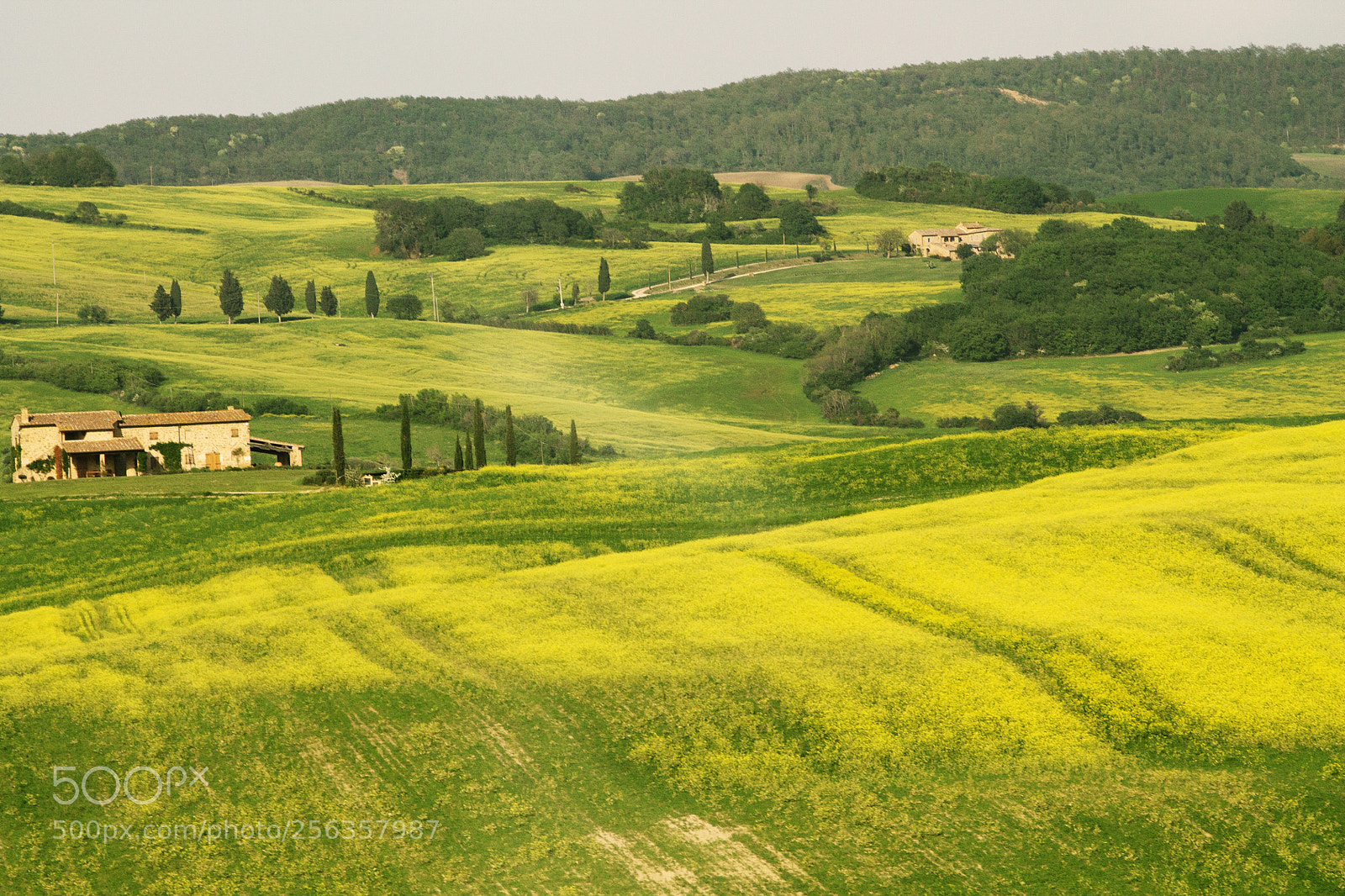 Canon EOS 1100D (EOS Rebel T3 / EOS Kiss X50) sample photo. Orcia, che paesaggio! photography