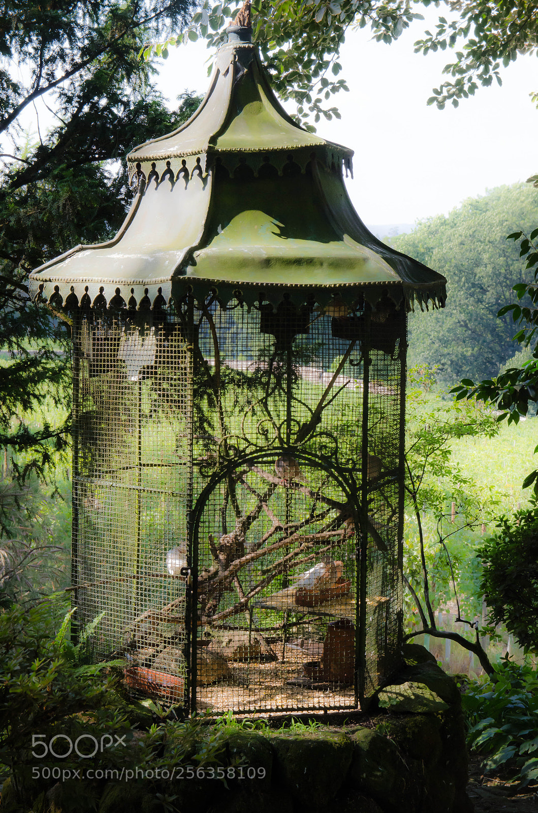 Nikon D7000 sample photo. Outdoor cage photography
