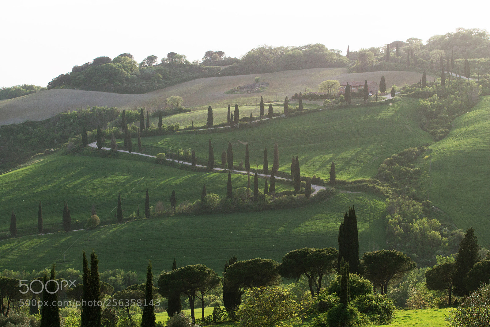Canon EOS 1100D (EOS Rebel T3 / EOS Kiss X50) sample photo. Orcia, che paesaggio! photography