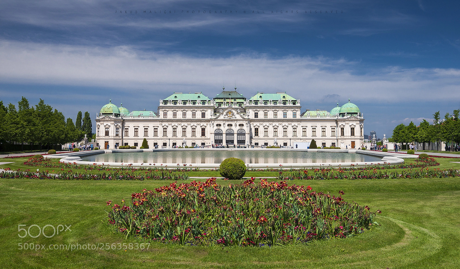 Nikon D800 sample photo. Belvedere palace photography