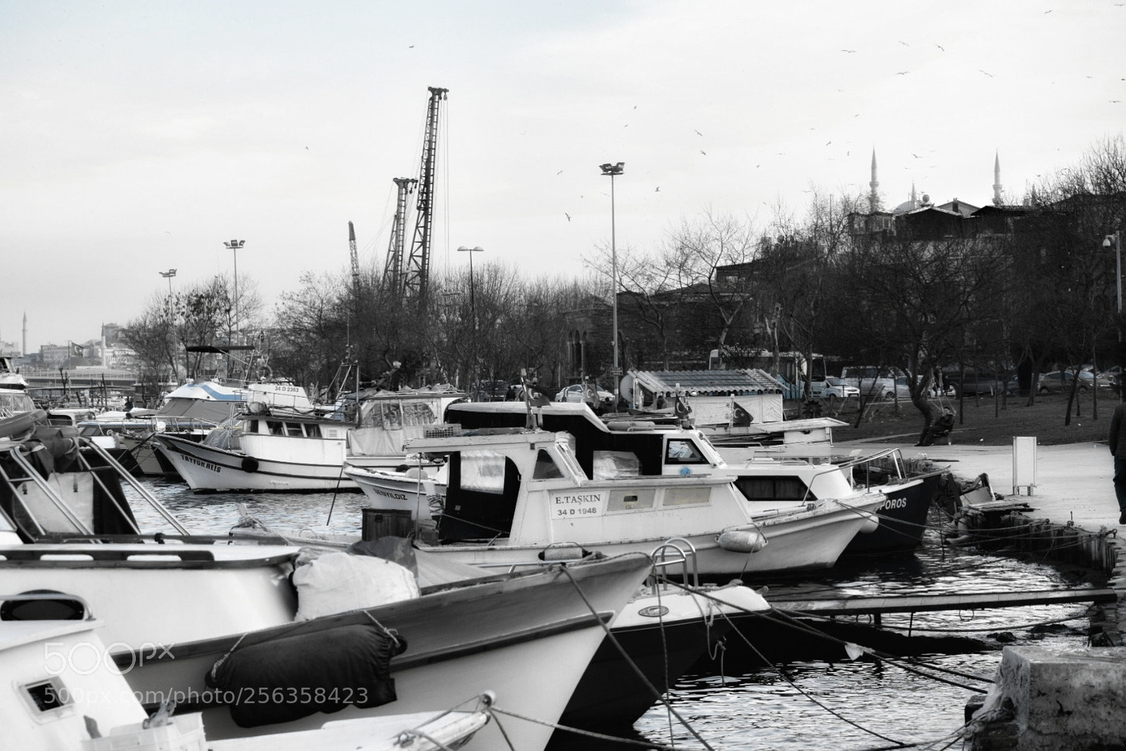 Nikon D5300 sample photo. Balat photography