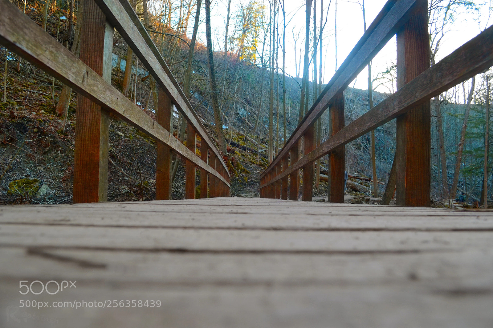 Nikon D3100 sample photo. Line/ leading the eye photography