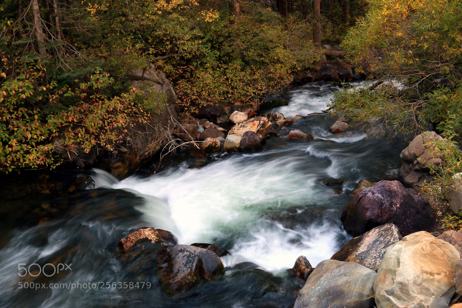 Canon EOS 70D sample photo. Big cottonwood creek photography