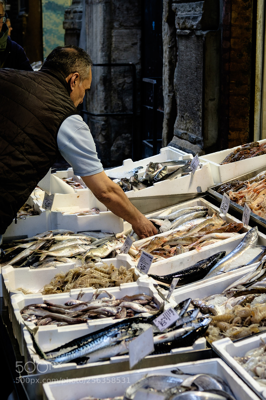 Fujifilm X-T10 sample photo. .. pesce fresco ... photography
