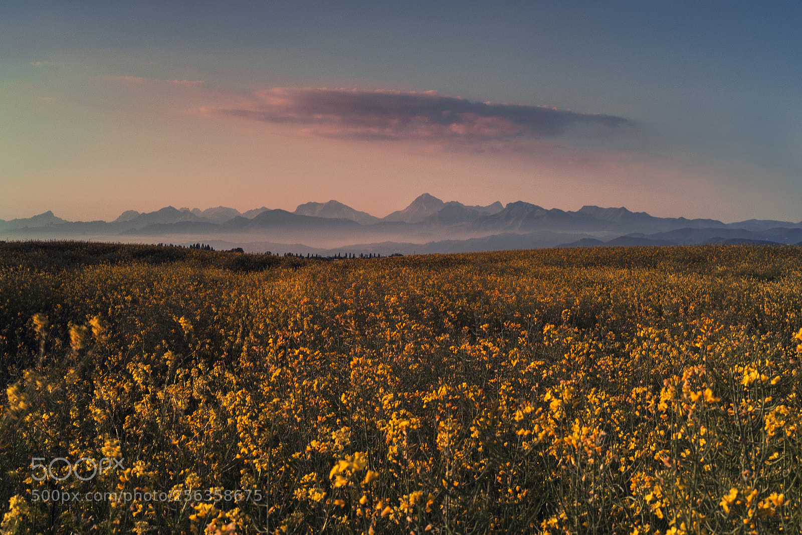 Canon EOS 6D Mark II sample photo. Beautiful view photography
