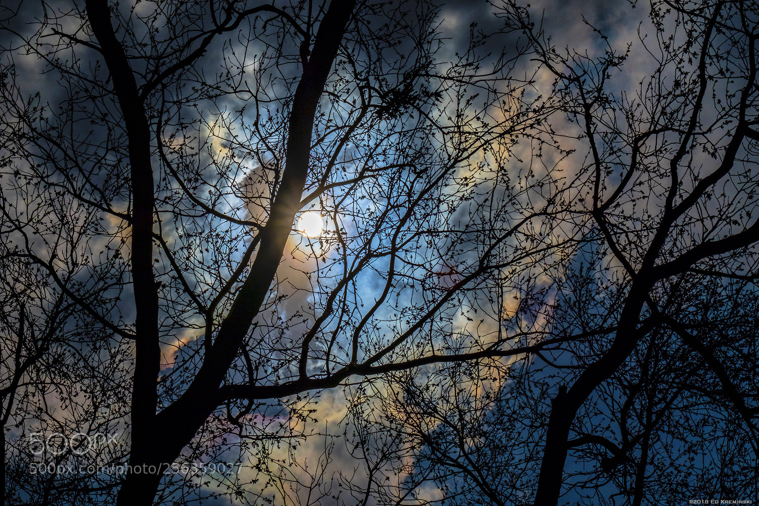 Fujifilm X-T2 sample photo. Spring skies photography