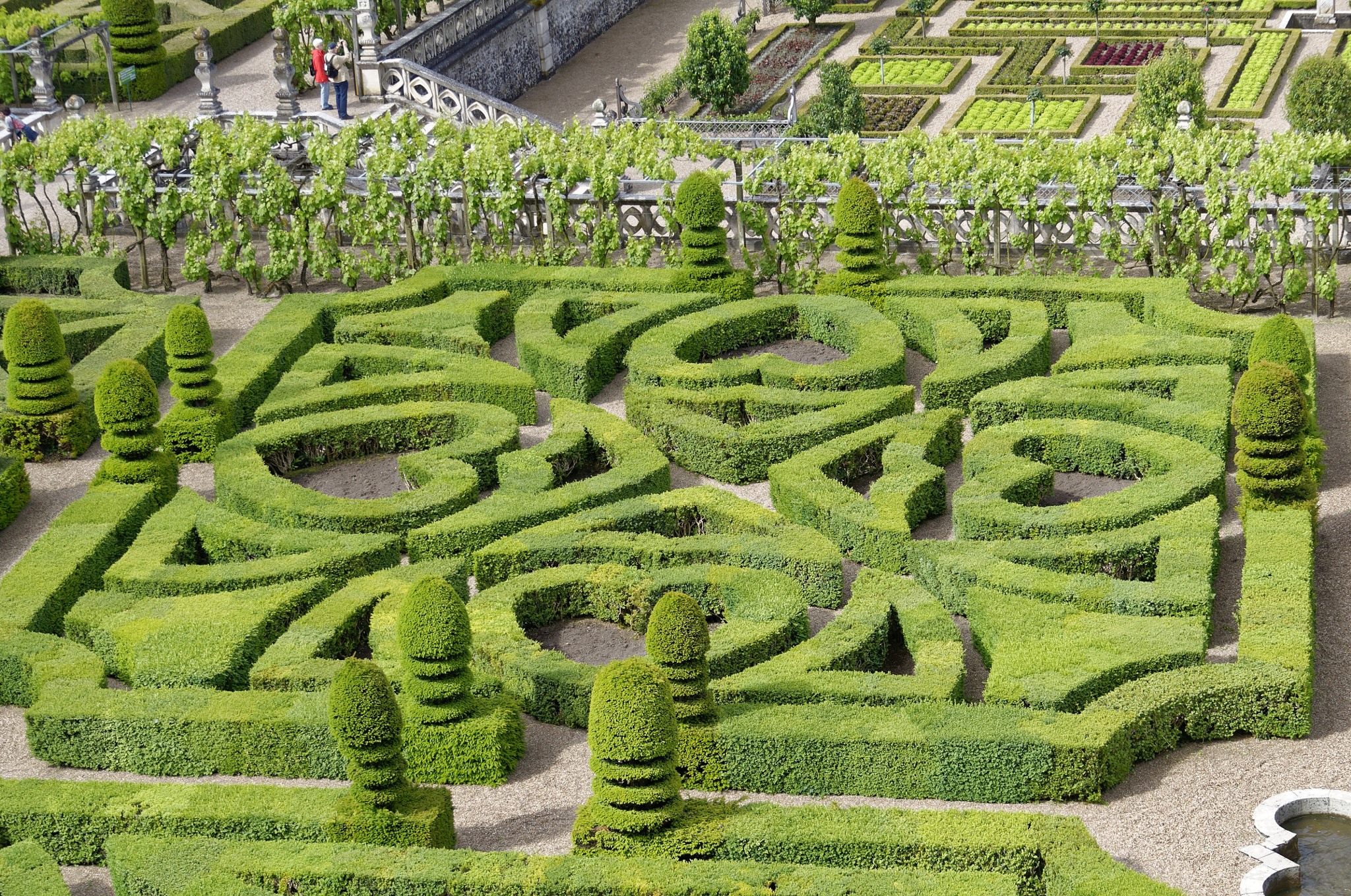 Nikon D5000 sample photo. Château de villandry garden photography