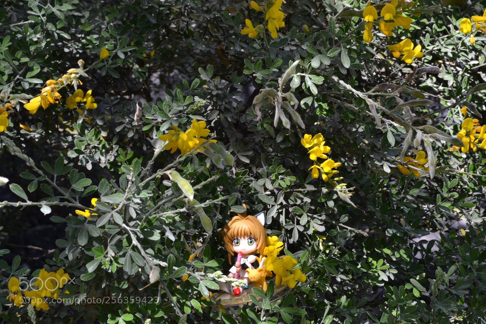 Nikon D3100 sample photo. Untitled photography