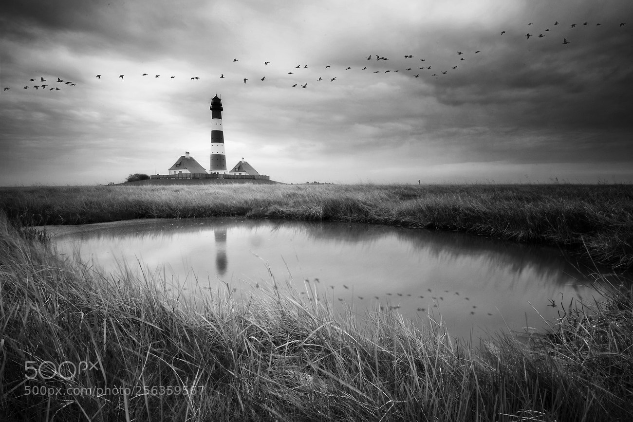 Canon EOS 6D sample photo. Lighthouse & geese photography