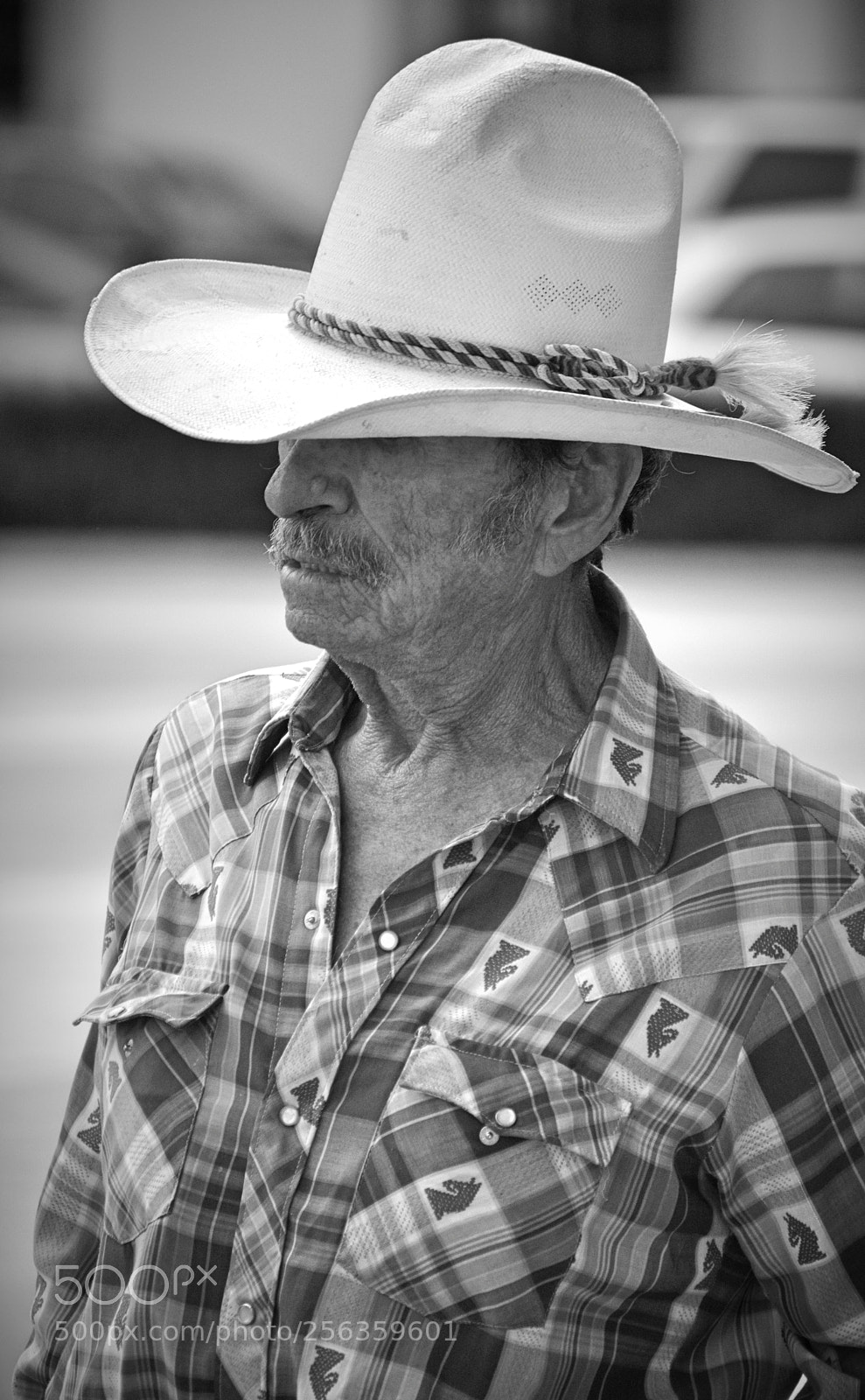 Nikon D3200 sample photo. Jose photography