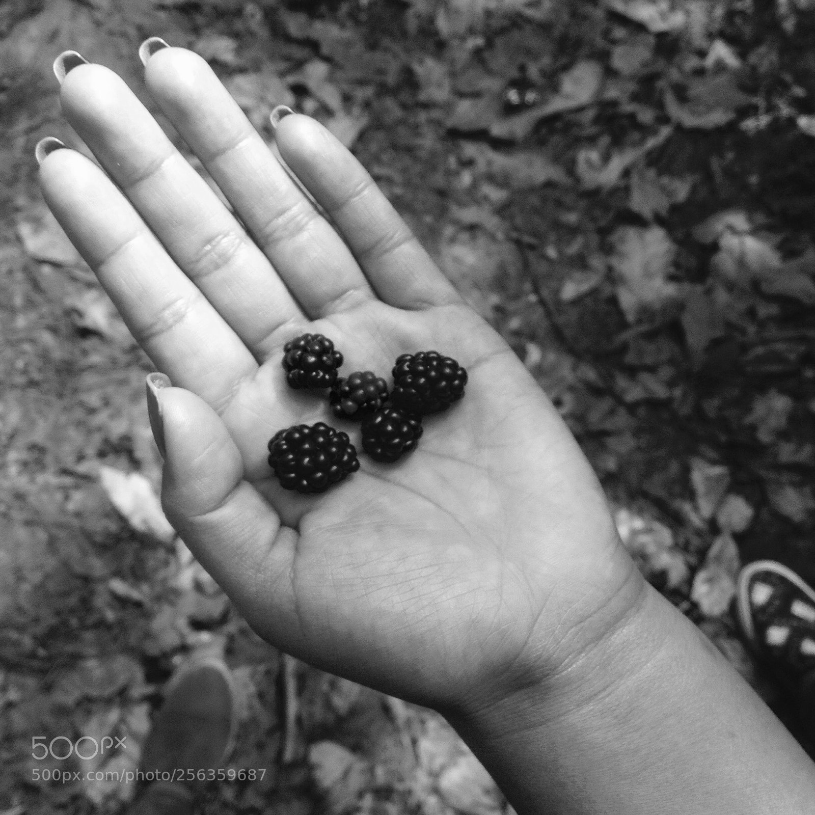 Apple iPhone 4S sample photo. Untitled photography