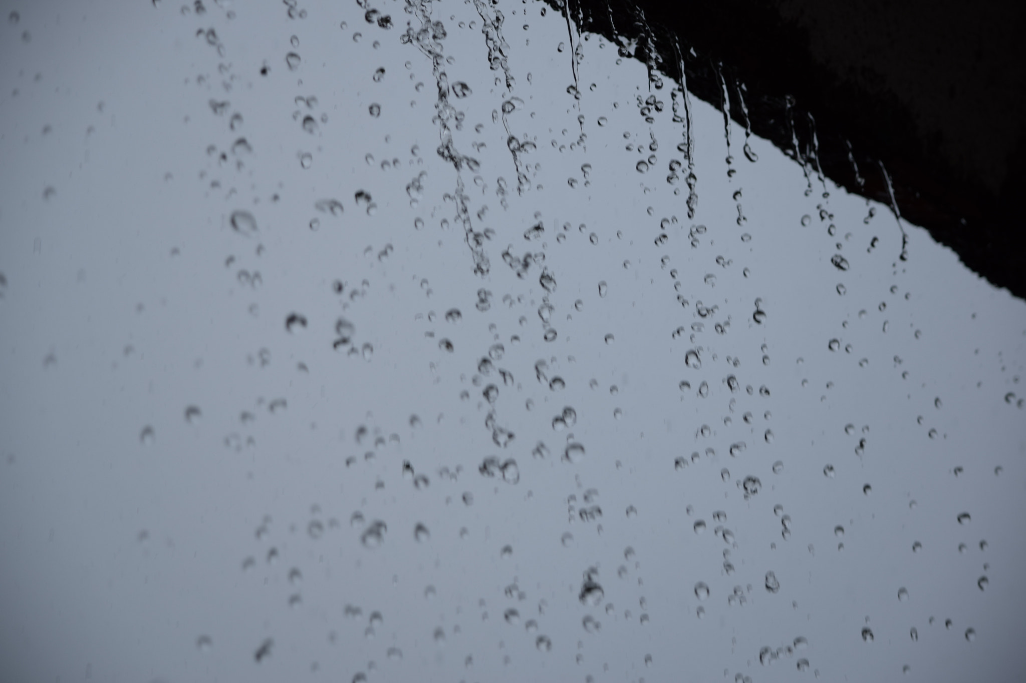 Nikon D5300 sample photo. Rain pouring photography
