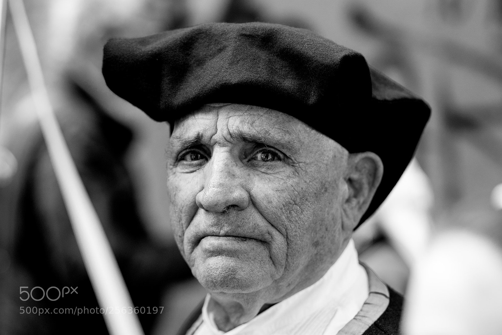 Sony a7 III sample photo. Sardinian photography