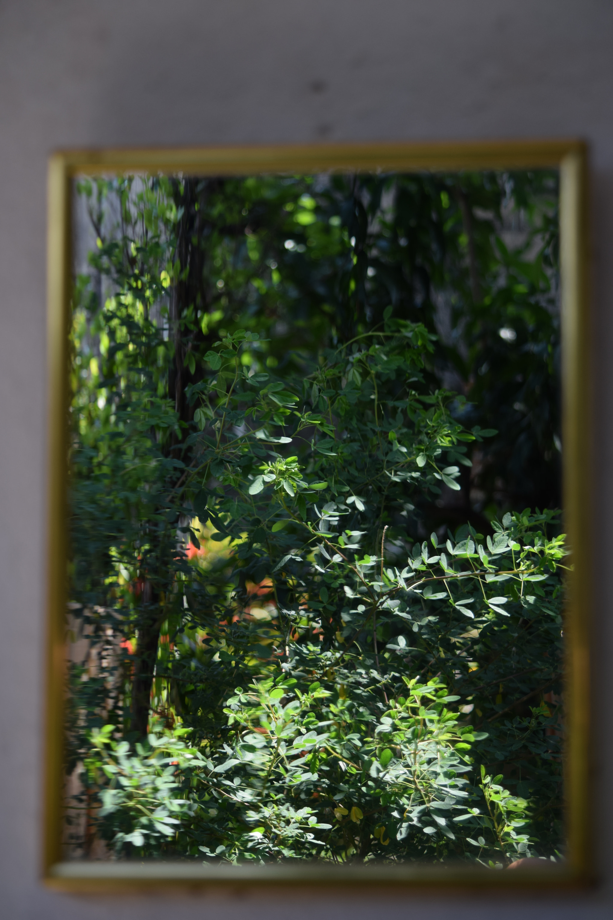 Nikon D5300 sample photo. Through the mirror photography
