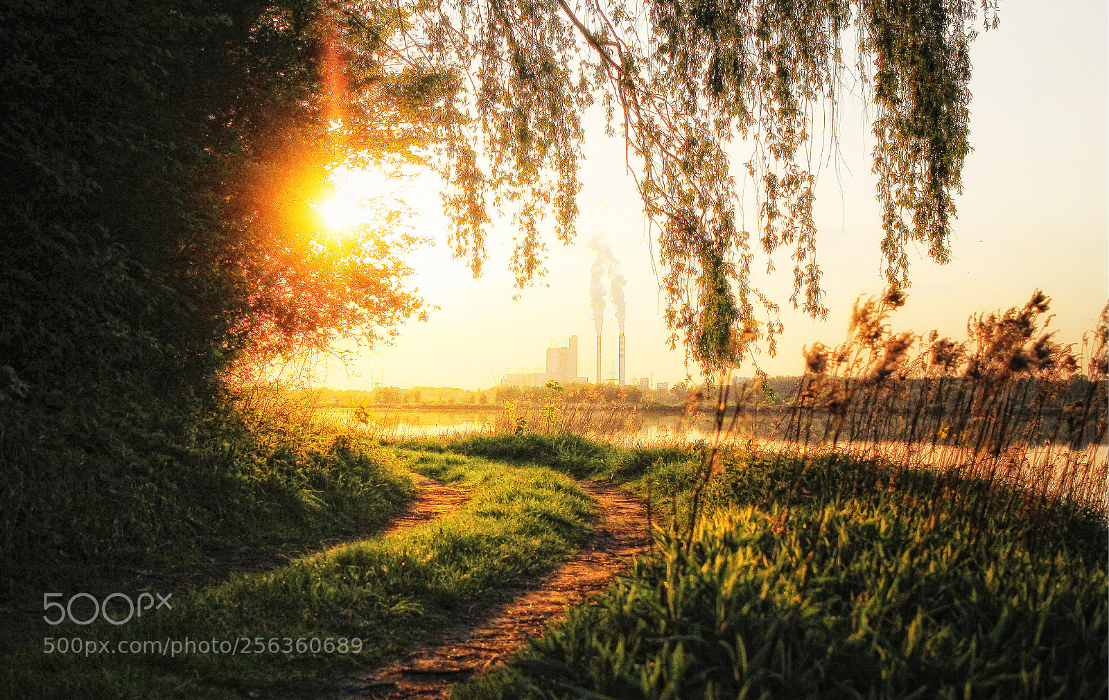 Canon EOS 50D sample photo. Power plant at sunset photography