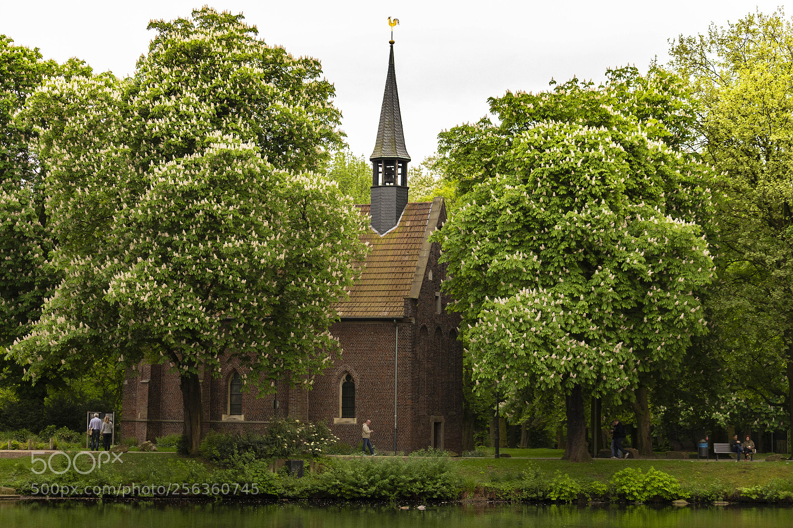 Canon EOS 700D (EOS Rebel T5i / EOS Kiss X7i) sample photo. Chapel at schloss str photography