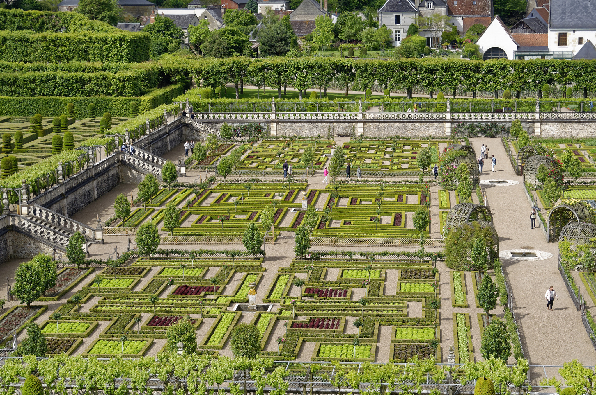 Nikon D5000 sample photo. Château de villandry garden photography