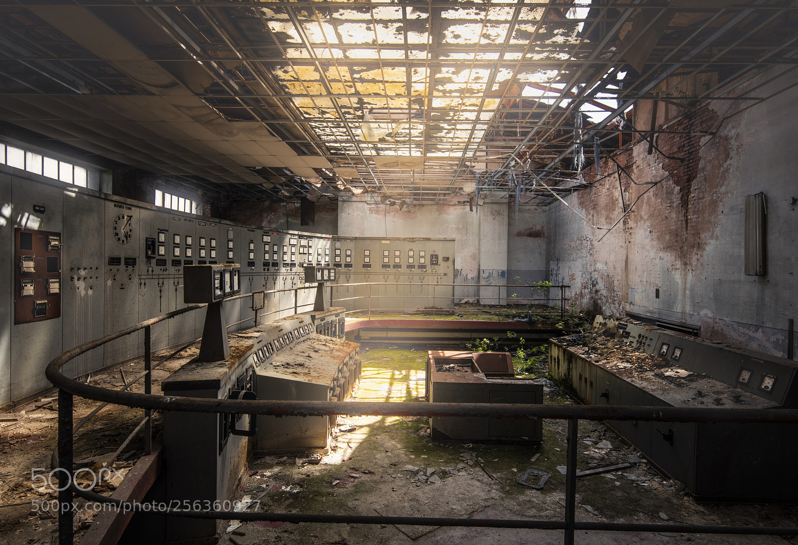 Nikon D750 sample photo. Totally out of control photography