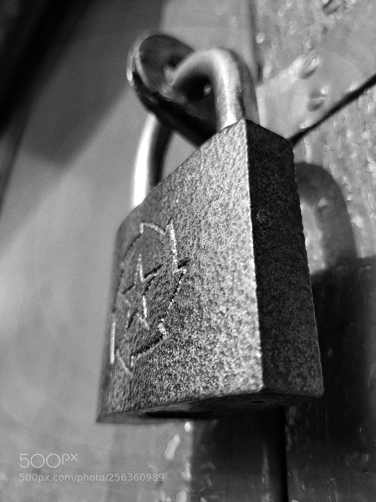 Samsung Galaxy S8+ sample photo. Untitled photography