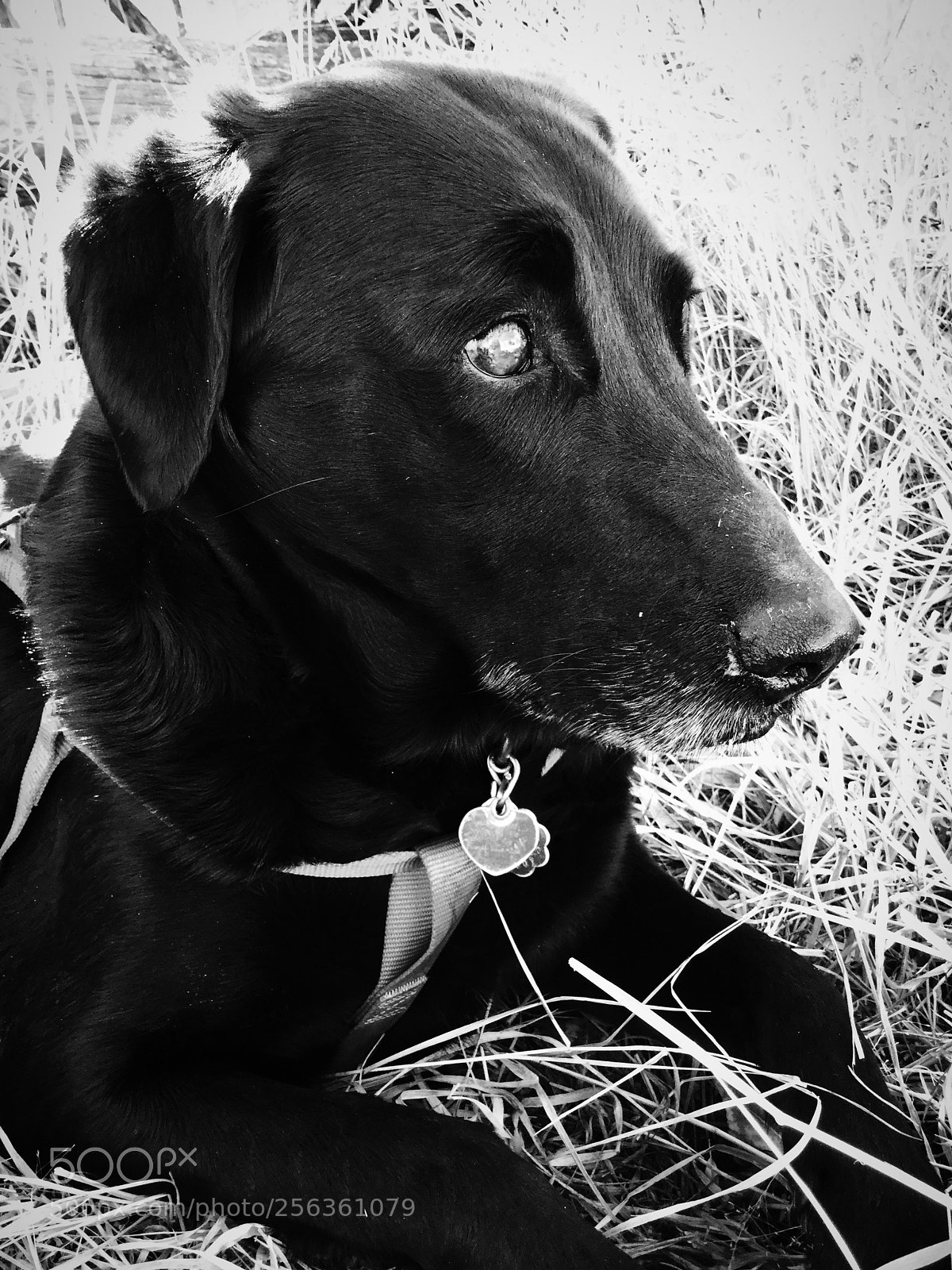 Apple iPod touch sample photo. A look in time... photography
