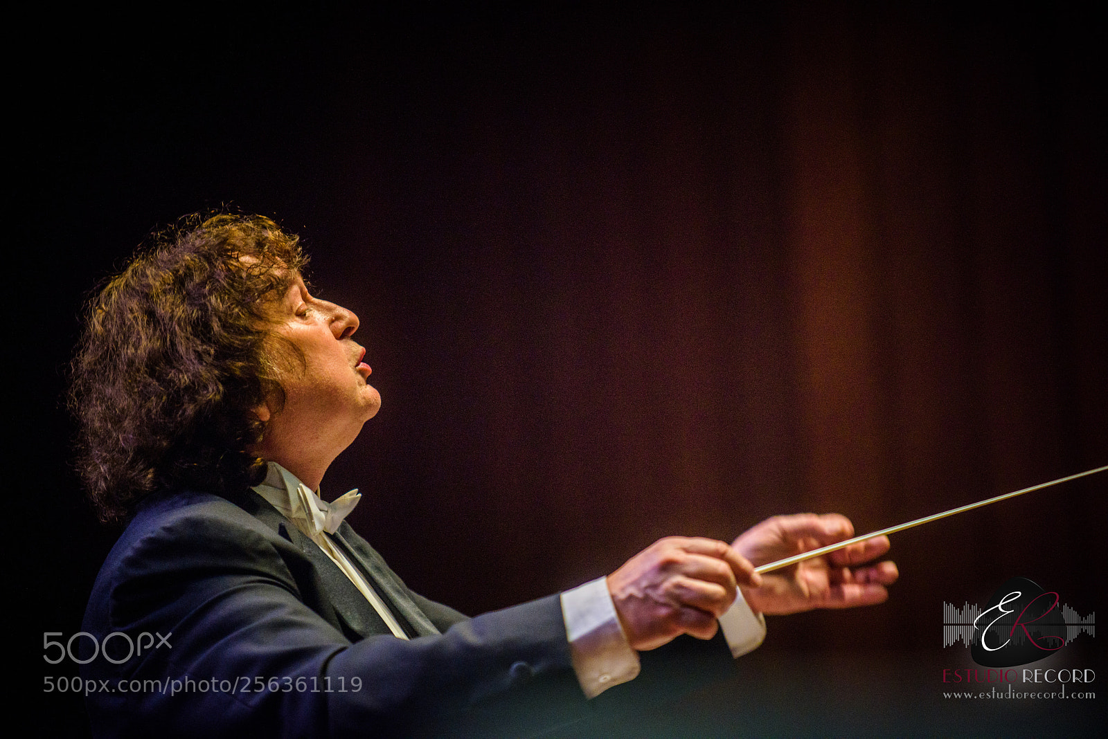 Nikon D810 sample photo. Director orquesta photography