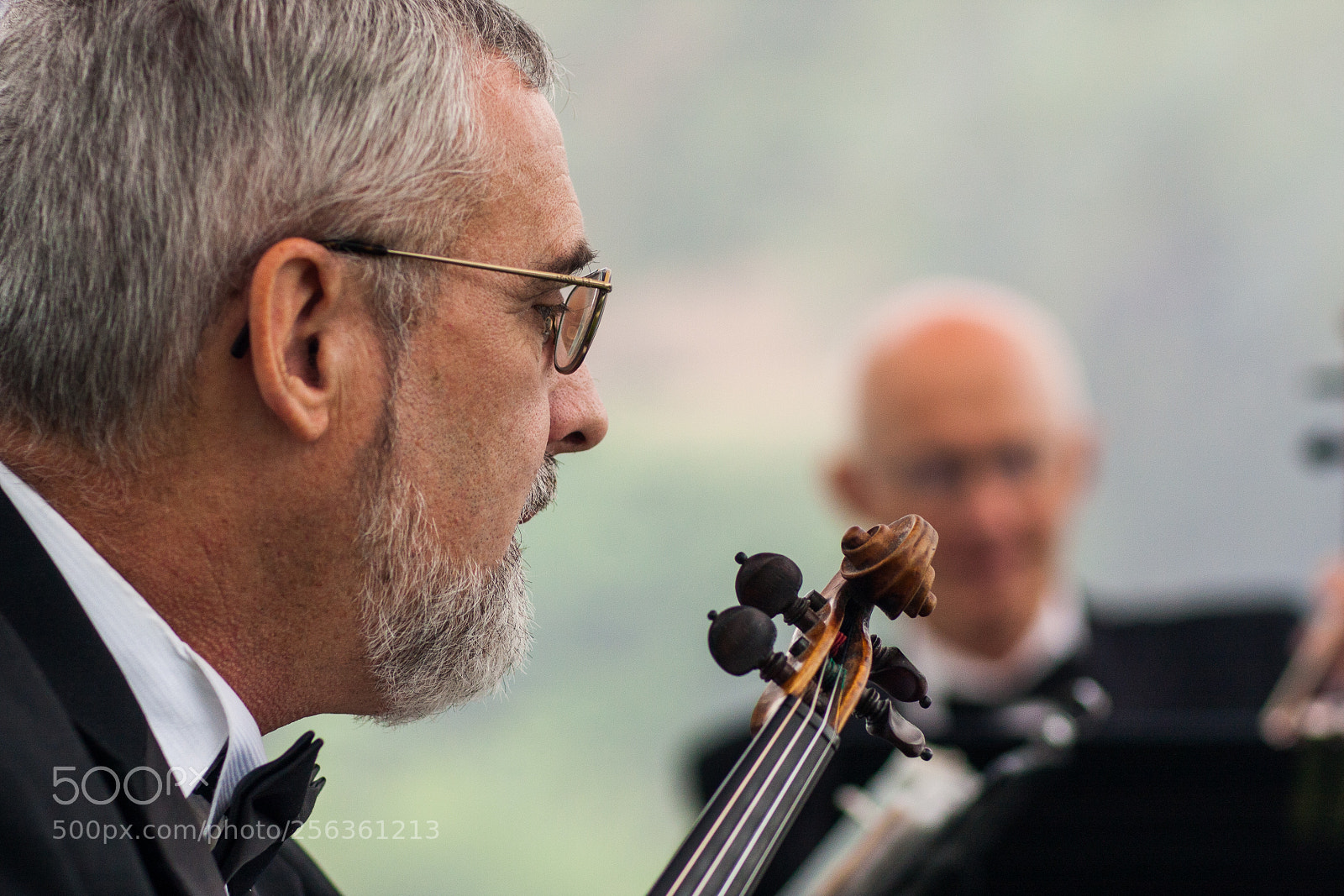 Canon EOS 40D sample photo. Violinist photography