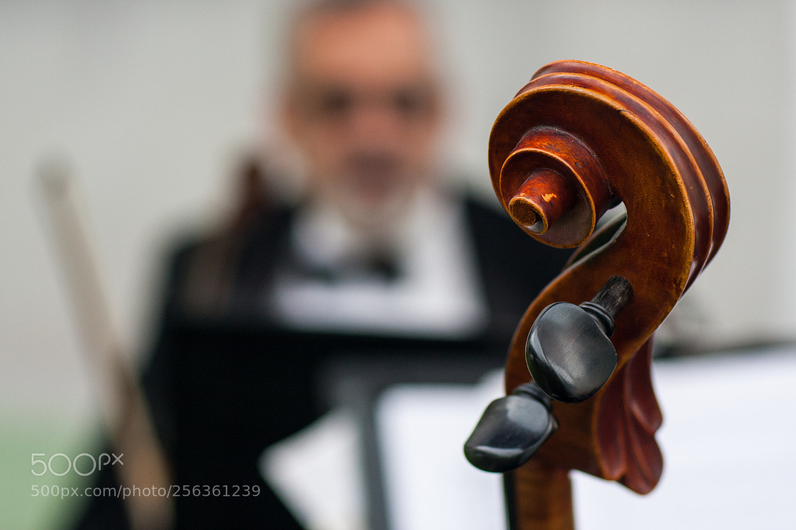 Canon EOS 40D sample photo. The composer photography