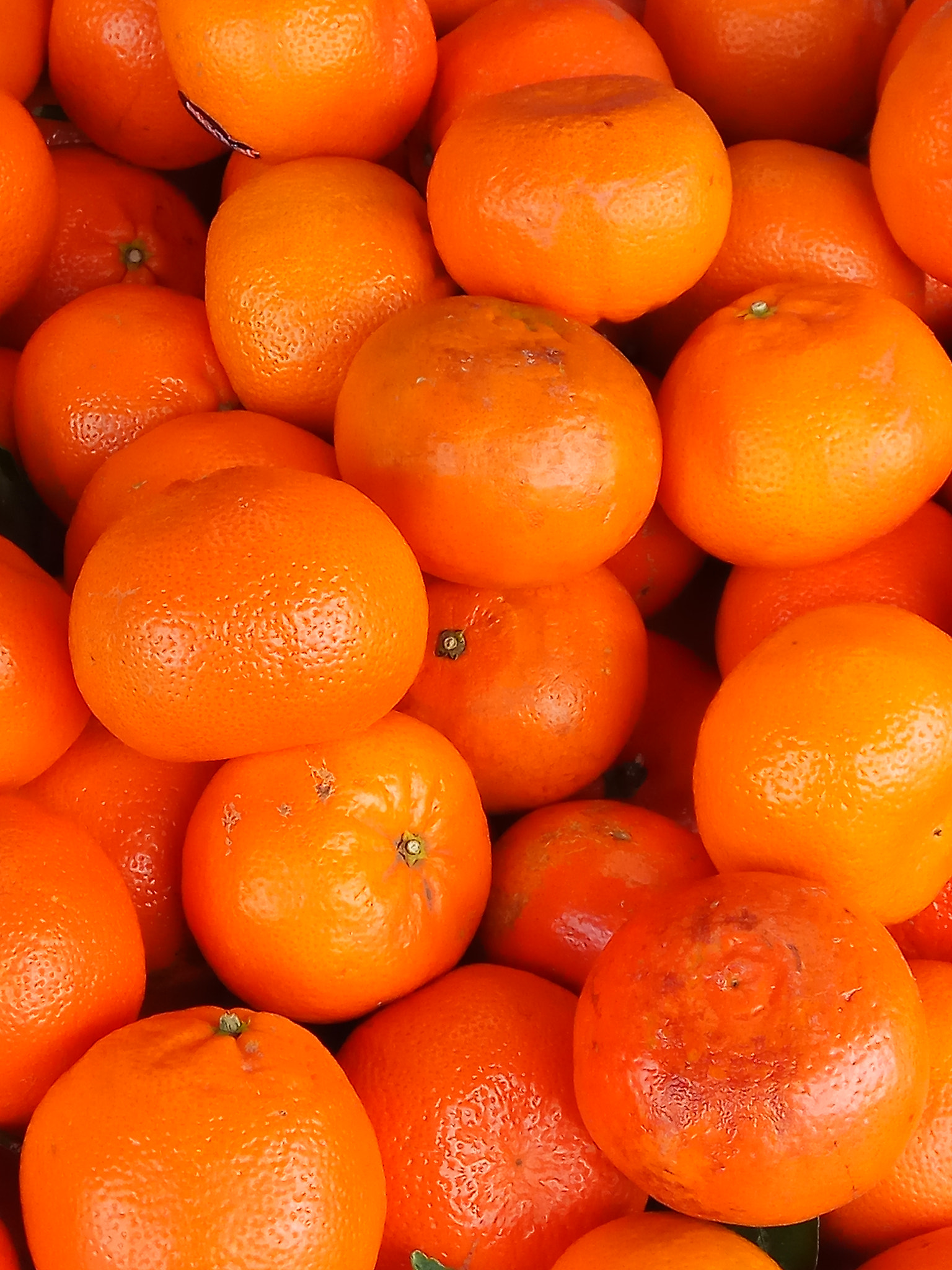 Xiaomi Redmi Note 4X sample photo. Orange fruit photography