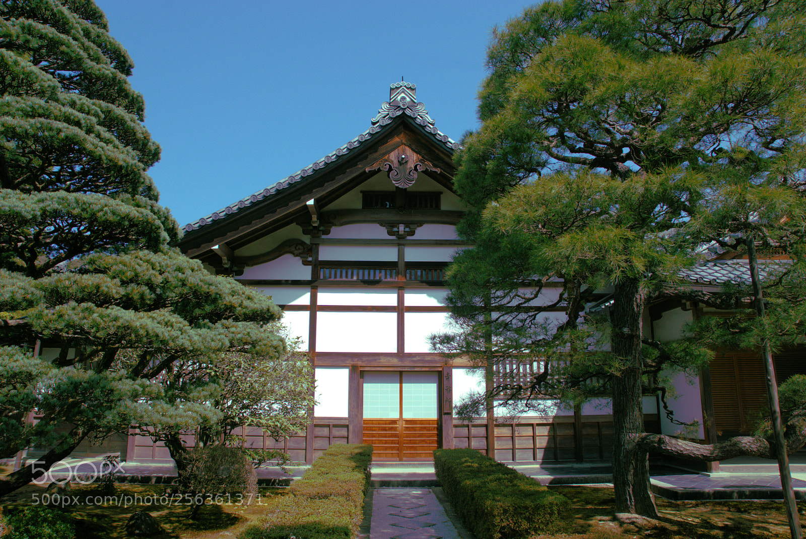 Sony ILCA-77M2 sample photo. Big in japan photography