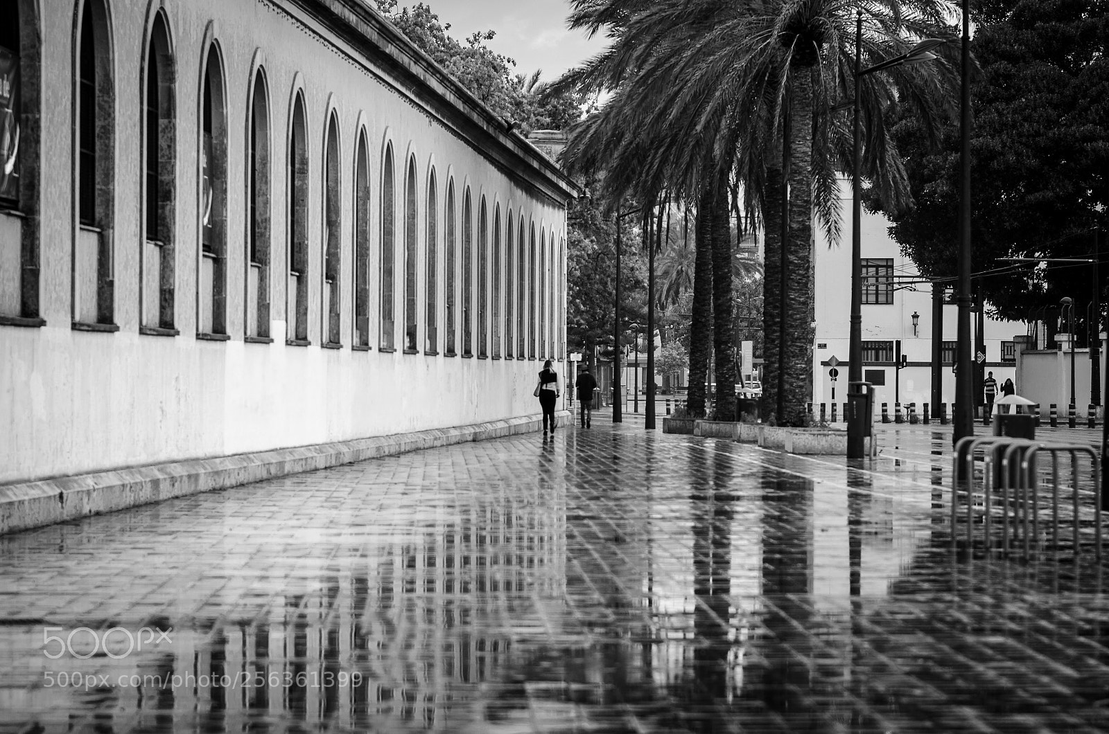 Nikon D5100 sample photo. Valencia... photography