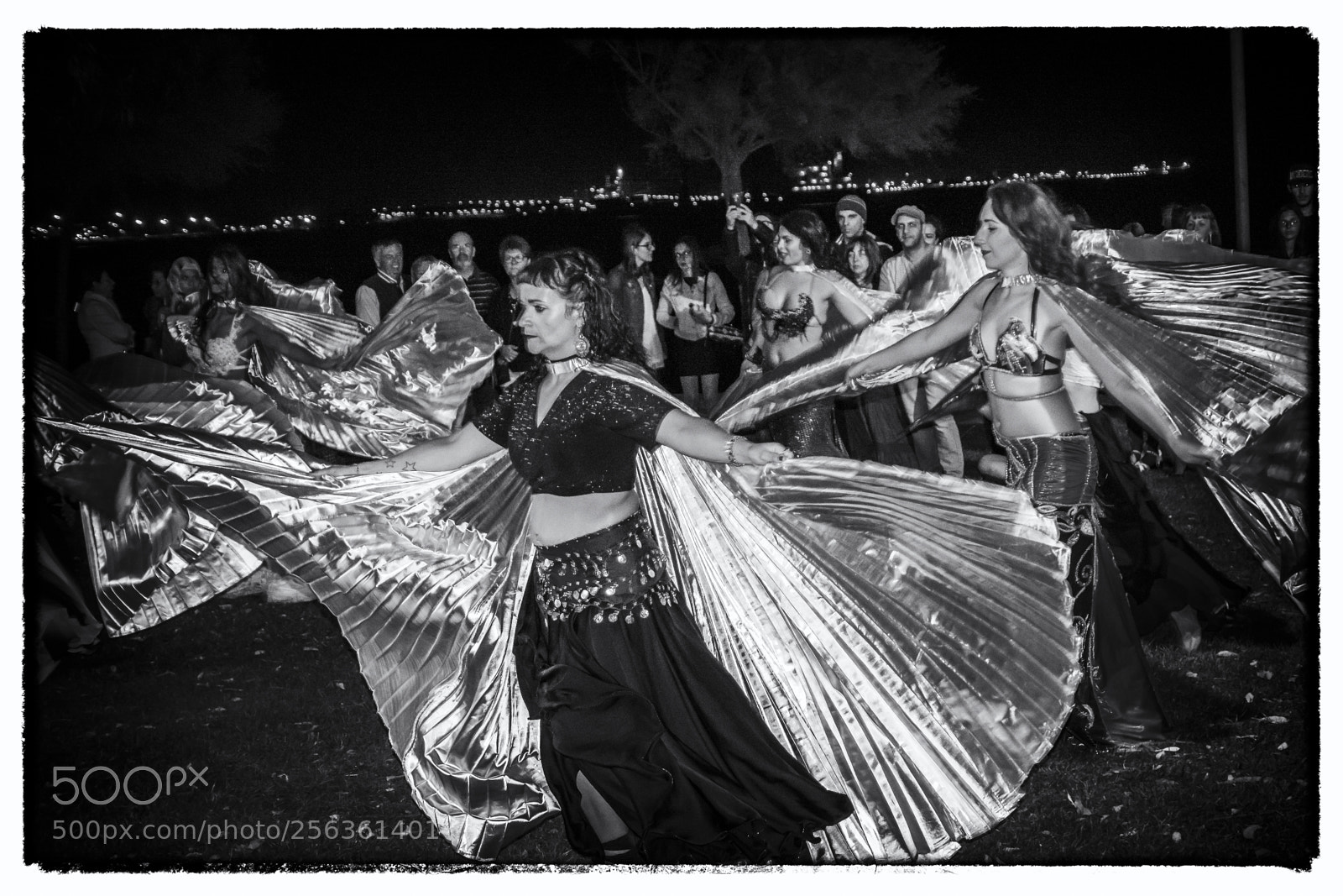 Nikon D5200 sample photo. Moonlight dancing photography