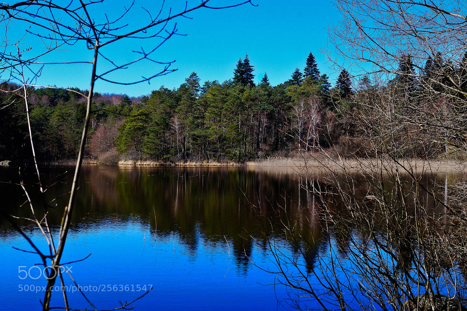 Sony SLT-A58 sample photo. Reflejo photography