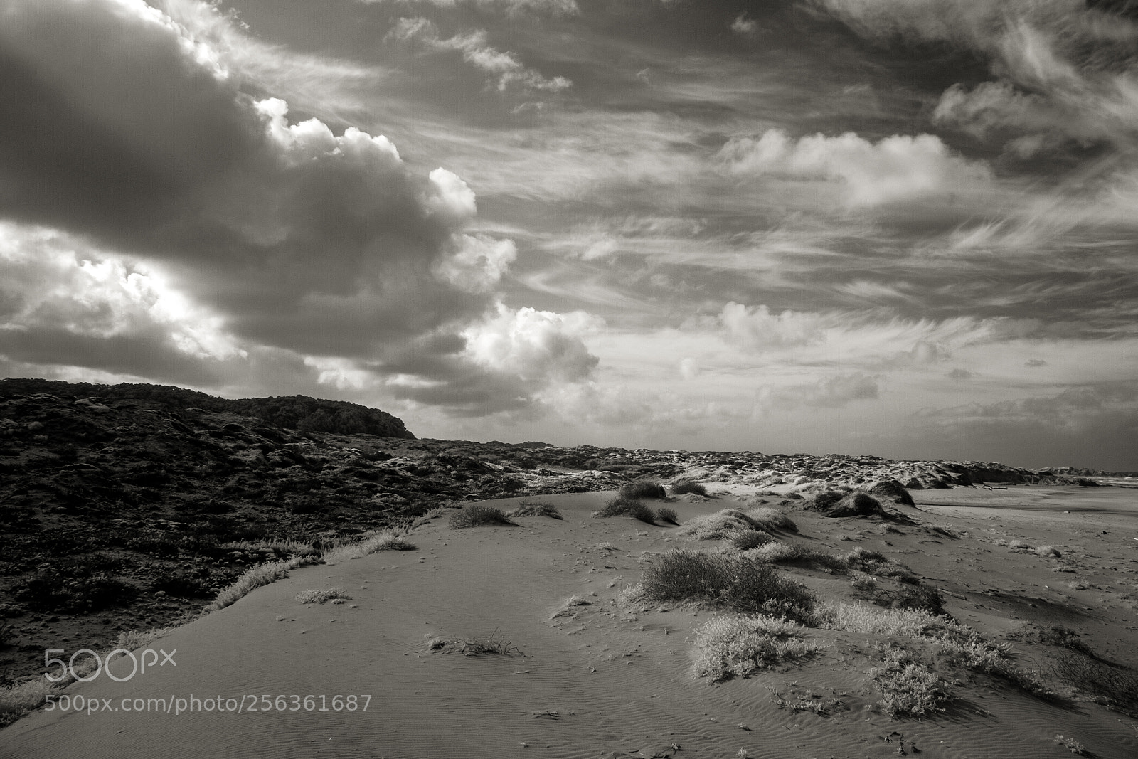 Canon EOS 20D sample photo. Gazos creek beach photography