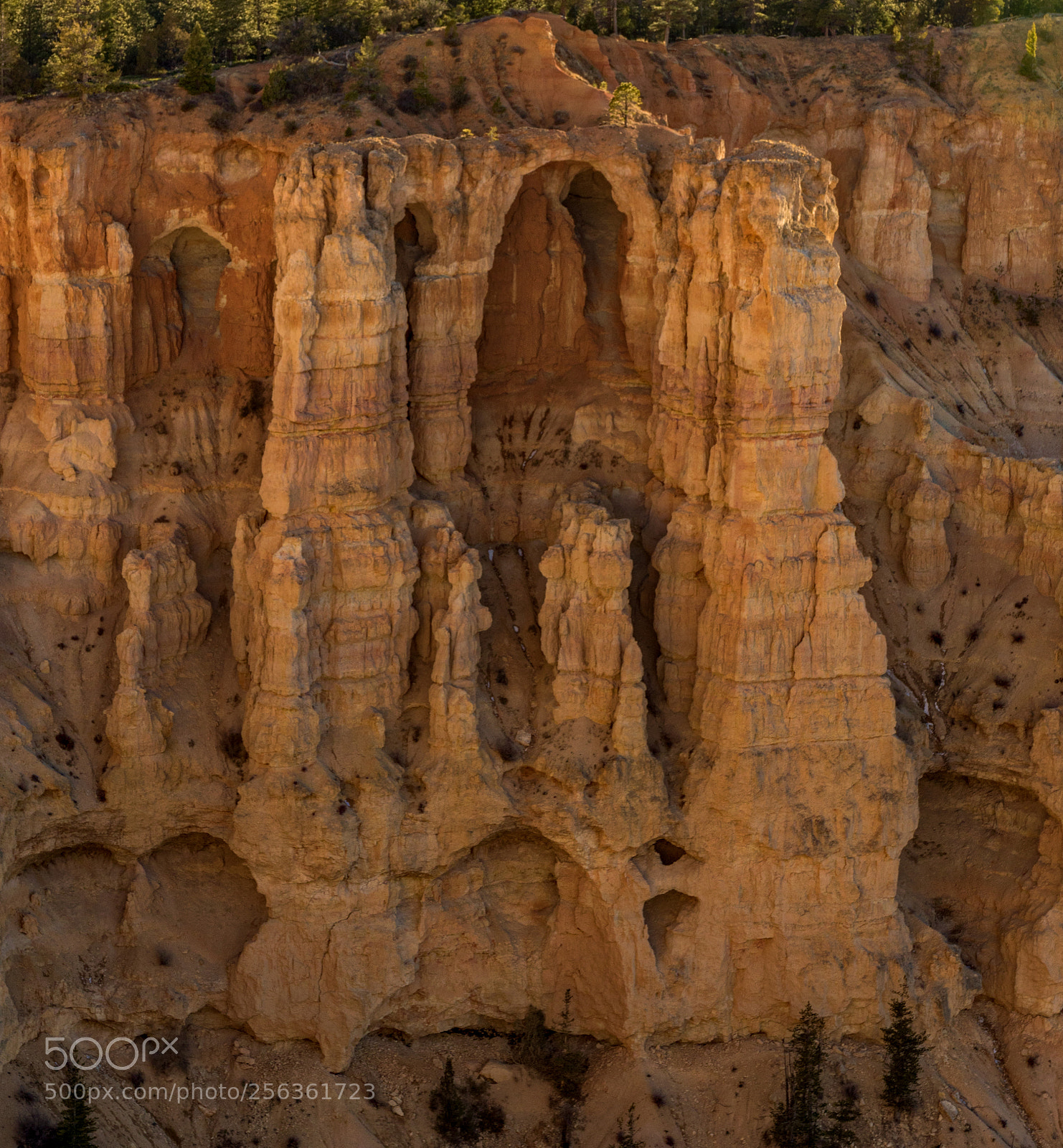 Pentax K-3 II sample photo. Bryce canyon national park photography