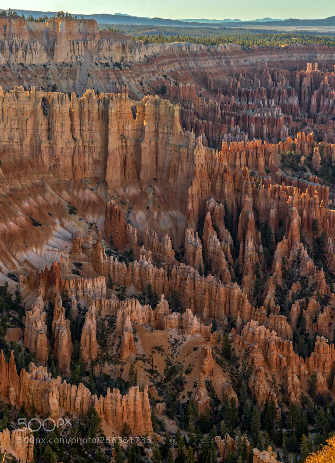 Pentax K-3 II sample photo. Bryce canyon national park photography