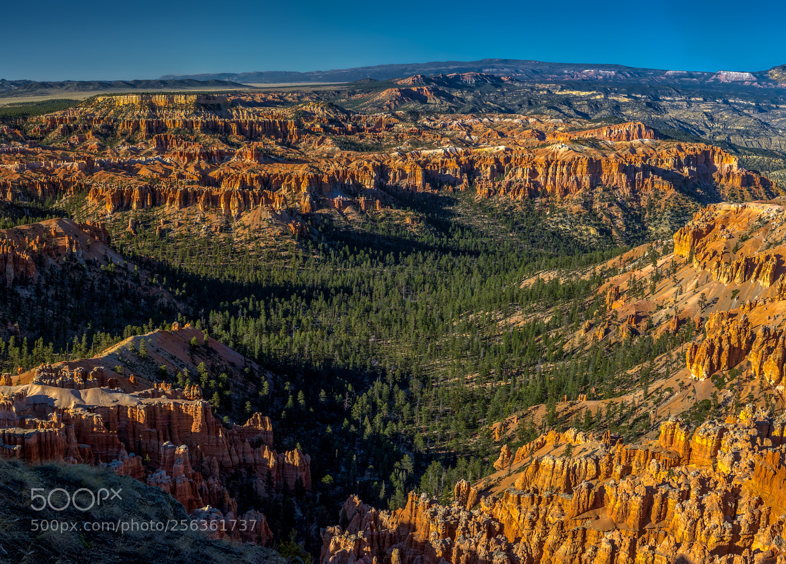 Pentax K-3 II sample photo. Bryce canyon national park photography