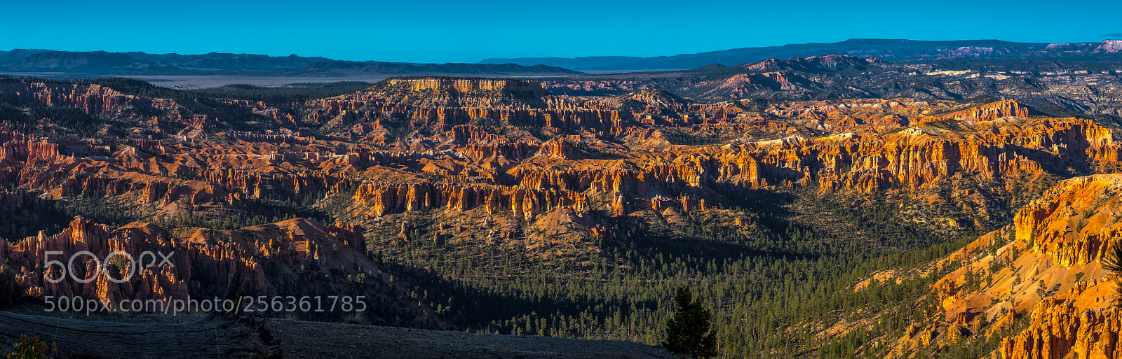 Pentax K-3 II sample photo. Bryce canyon national park photography