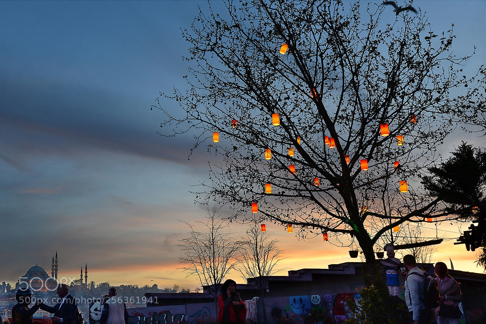 Nikon D600 sample photo. Night life photography
