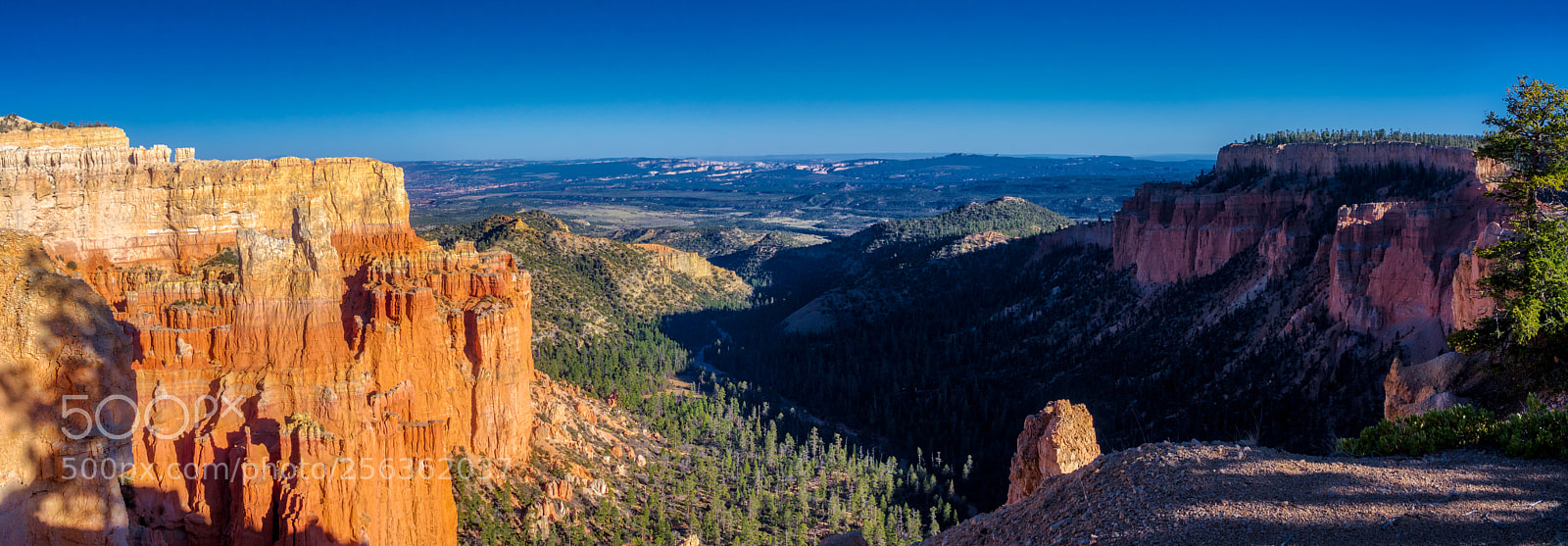 Pentax K-3 II sample photo. Bryce canyon national park photography