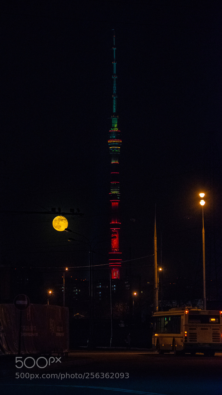 Nikon D5300 sample photo. Untitled photography