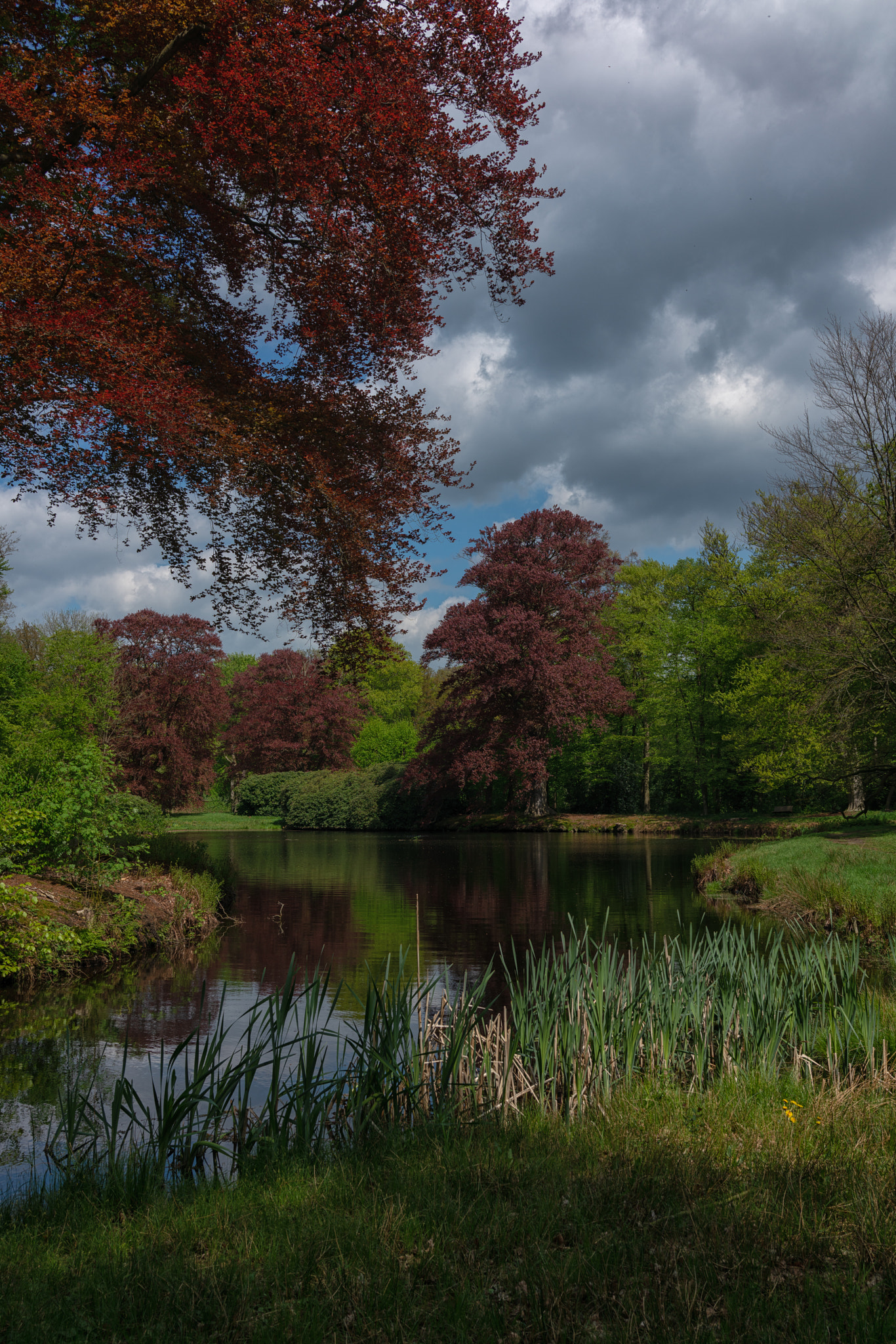 Sony Cyber-shot DSC-RX1R II sample photo. Dutch landscape photography
