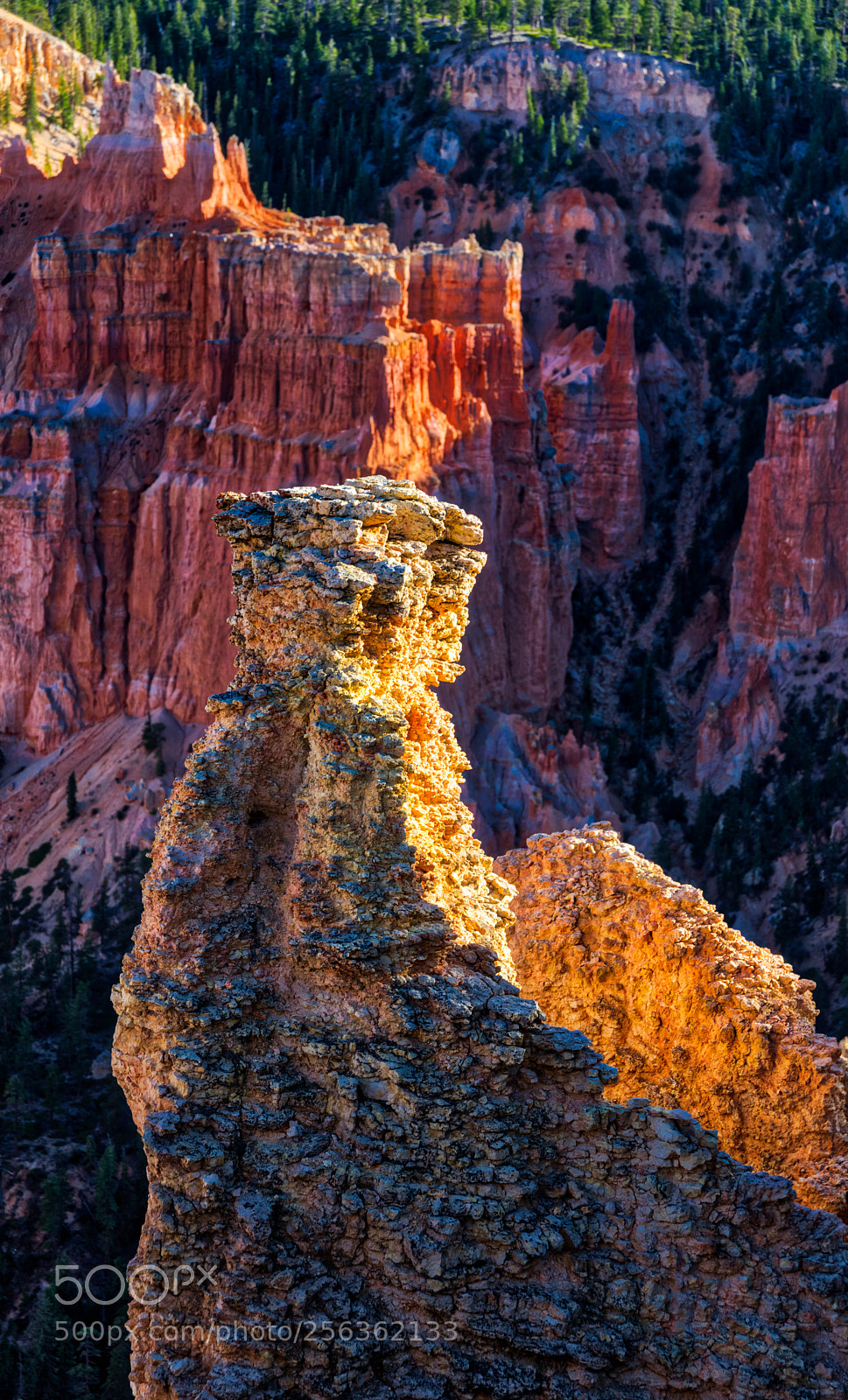 Pentax K-3 II sample photo. Bryce canyon national park photography