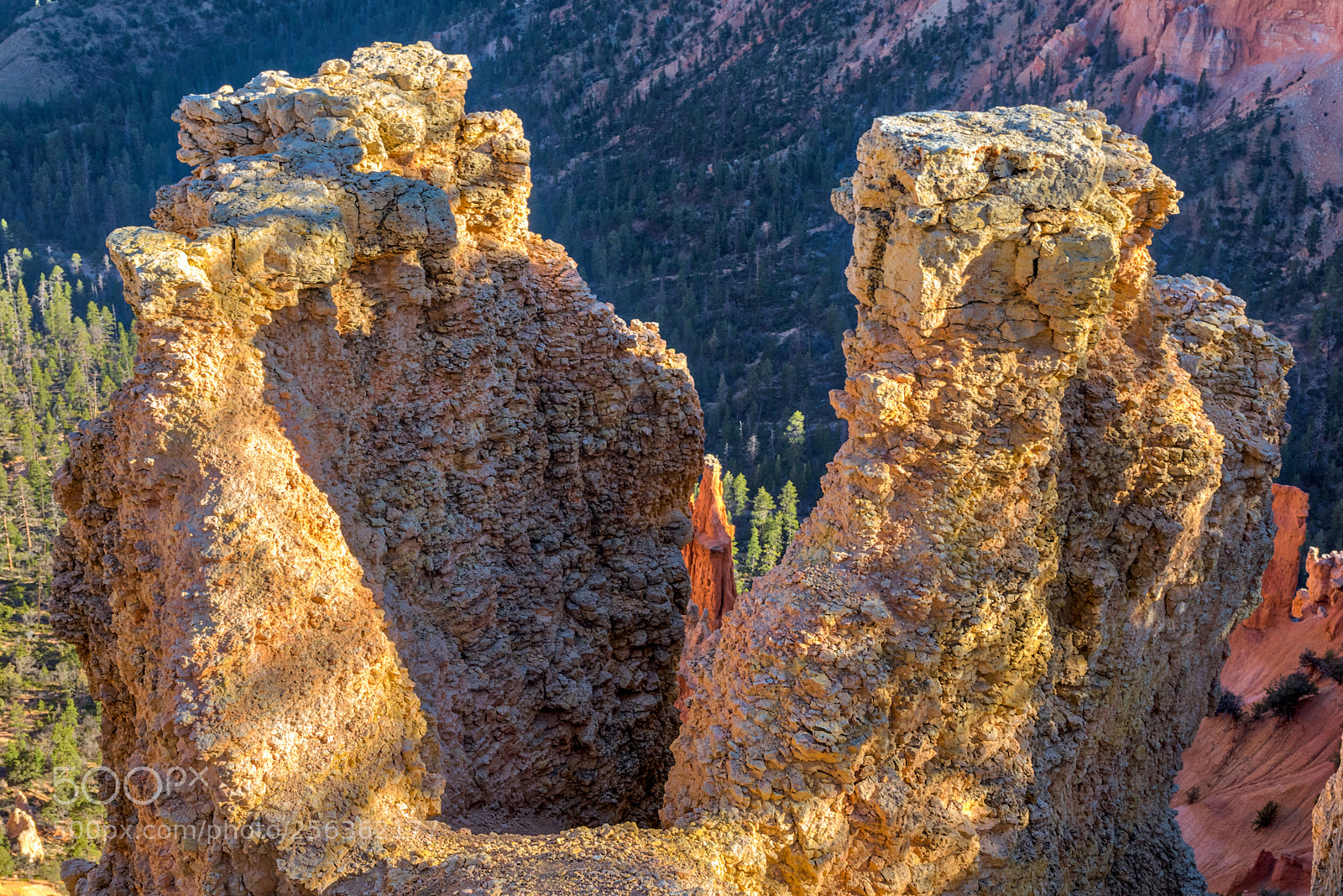 Pentax K-3 II sample photo. Bryce canyon national park photography