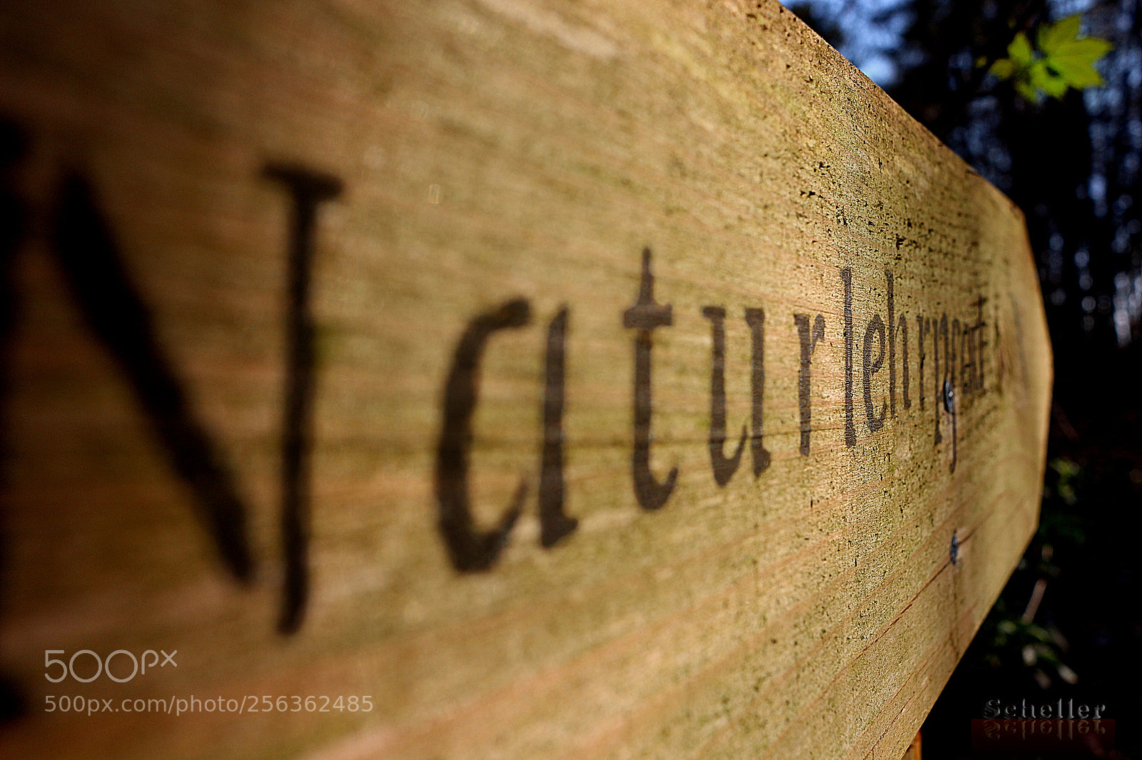 Canon EOS 700D (EOS Rebel T5i / EOS Kiss X7i) sample photo. Naturlehrpfad photography