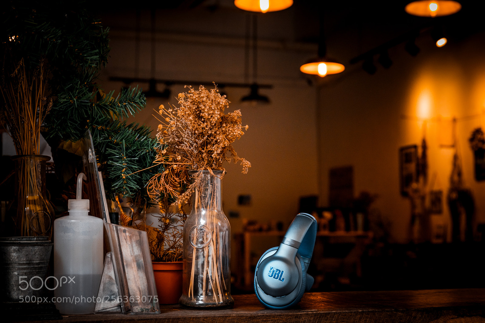 Canon EOS 5D Mark IV sample photo. Untitled photography