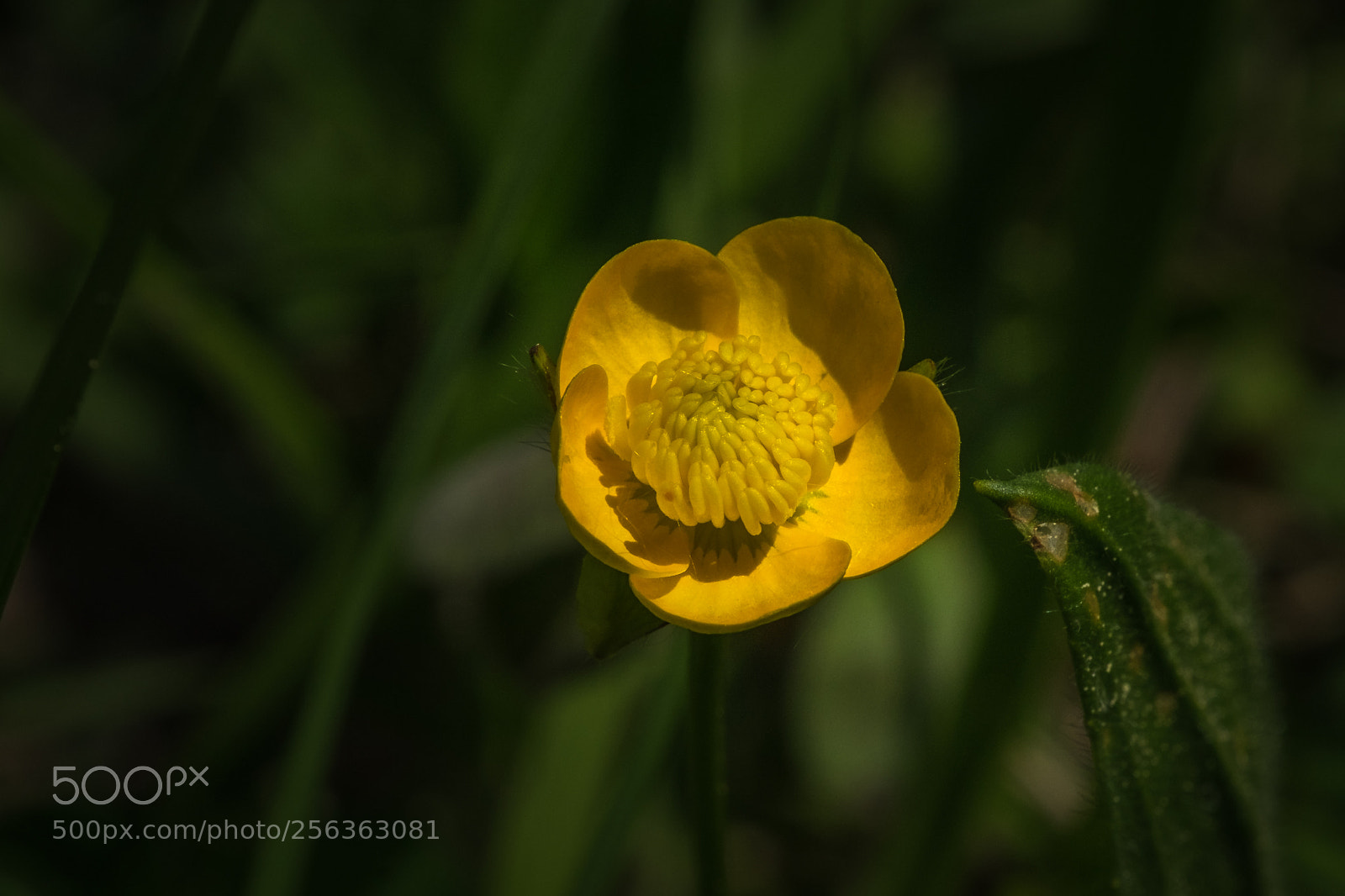 Fujifilm X-T1 sample photo. Licht und schatten light photography