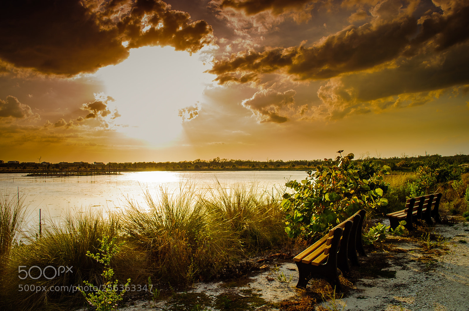 Nikon D5000 sample photo. Florida sunset photography