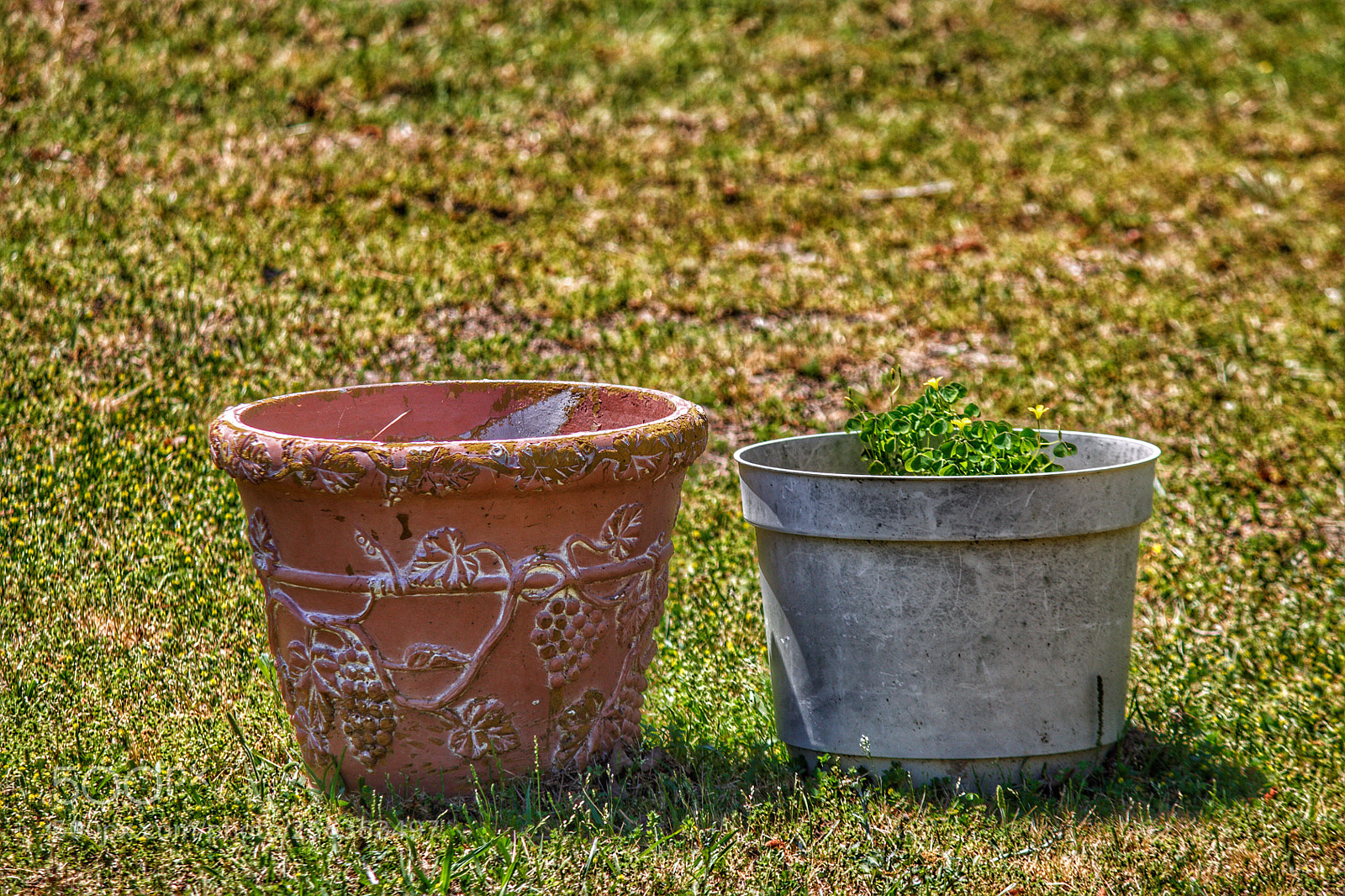 Canon EOS 1100D (EOS Rebel T3 / EOS Kiss X50) sample photo. Two pots photography