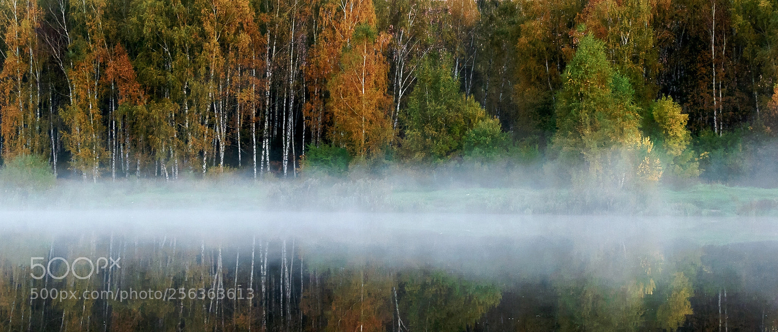 Nikon D3100 sample photo. Fog on water photography